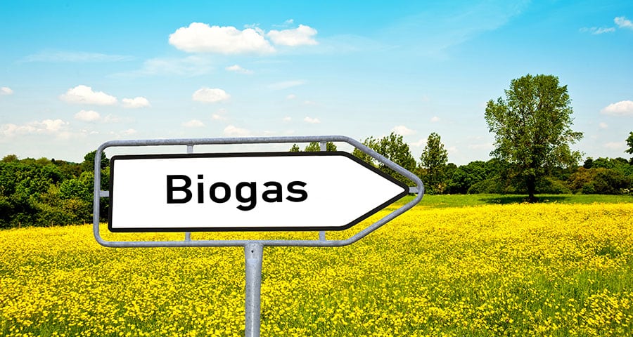 L'energia blu della natura: Biogas